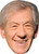 Ian Mckellen Celebrity Face Mask