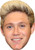 Niall Horan Celebrity Facemask