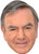 Neil Diamond The Saturdays Music Celebrity Face Mask