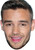 Liam Payne Celebrity Music Star Celebrity Party Face Mask | Fancy Dress