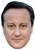 David Cameron Jb - Tv Star Fancy Dress Cardboard Celebrity Face Mask