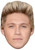 Niall Horan Jb - Music Star Fancy Dress Cardboard Celebrity Face Mask