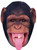 Monkey Tongue Fancy Dress Face Mask 2026 Jb