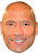The Rock Jb - Fancy Dress Party Mask 2026