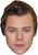 Harry Styles Celebrity Face Mask - Fancy Dress Party Mask 2026 Jb - Music Star Fancy Dress Cardboard Celebrity Face Mask - Fancy Dress Party Mask 2026