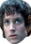 Lotr Frodo Baggins Fancy Dress Cardboard Celebrity Face Mask