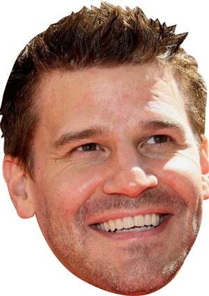 David Boreanaz Celebrity Face Mask