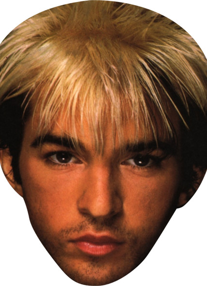 Limahl Kajagoogoo Music Celebrity Party Face Mask | Fancy Dress