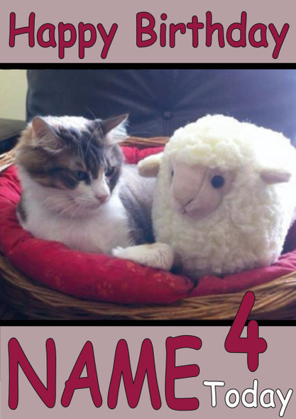 Cat In Bed With Teddy Sheep Personalised Birthday Card