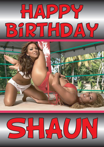 Happy Birthday Sexy Arm Bar Card Shaun