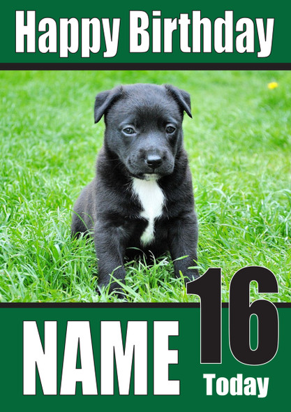 Black Puppy Dogs And Puppies Happy Birthday