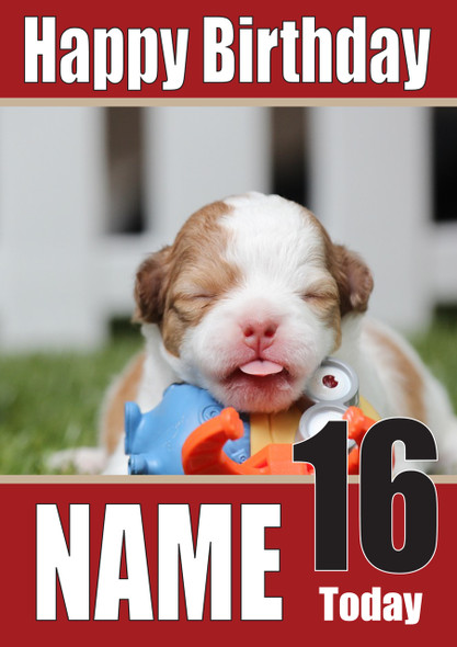 Chihuahua Card Dogs And Puppies Happy Birthday