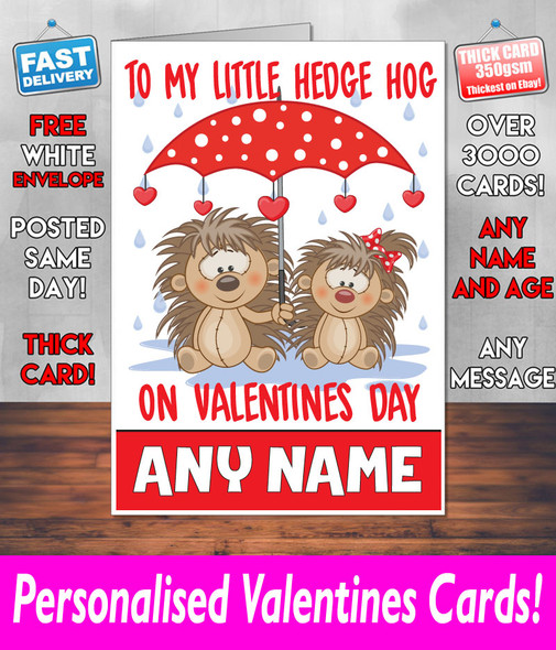 To My Hedge Hog Valentines Card