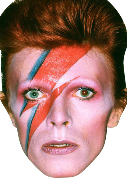 David Bowie 80s Celebrity Music Star Face Mask