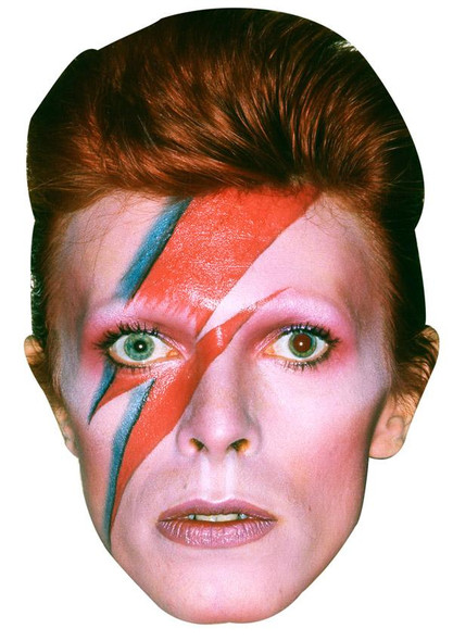 David Bowie Jb - Music Star Fancy Dress Cardboard Celebrity Face Mask