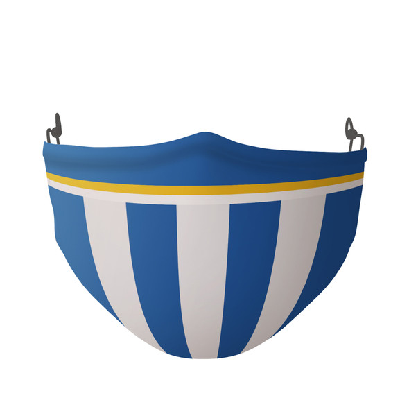 Inspired By Brighton Football Colours Face Covering