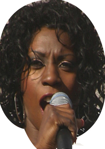 Heather Small On A Stick Face Mask