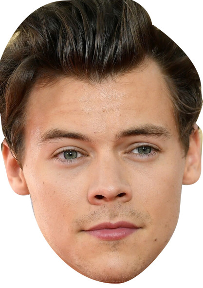 Harry Styles Celebrity Music Star Face Mask