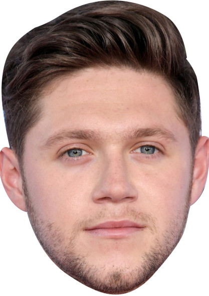 Niall Horan Celebrity Music Star Face Mask