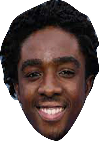 Caleb Mclaughlin Stranger Things Celebrity Fancy Dress Cardboard Face Mask