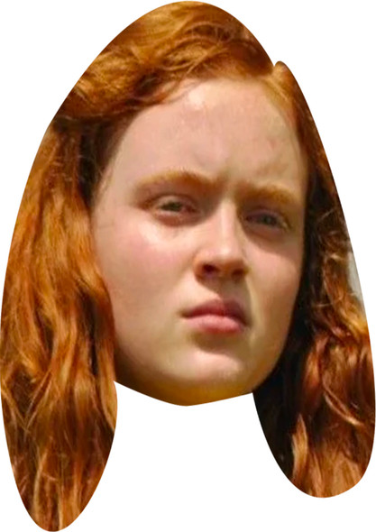 Max Mayfield Stranger Things Celebrity Fancy Dress Cardboard Face Mask