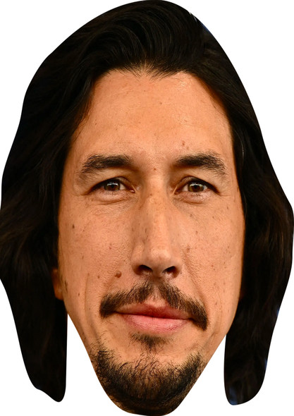 Adam Driver Fancy Dress Cardboard Celebrity Face Mask