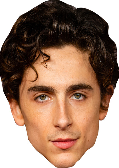Timothã©E Chalamet Jb Fancy Dress Cardboard Celebrity Face Mask