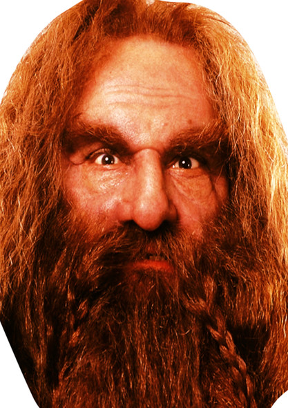 Lotr Gimli Fancy Dress Cardboard Celebrity Face Mask
