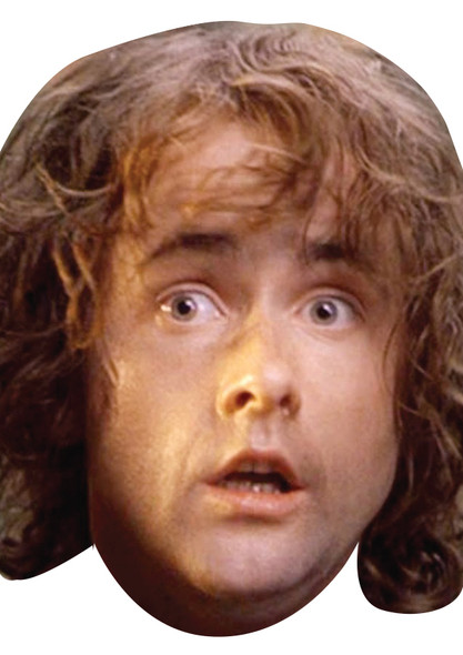 Pippin Took - Lotr Celebrity Party Face Mask | Fancy Dress Cardboard Mask