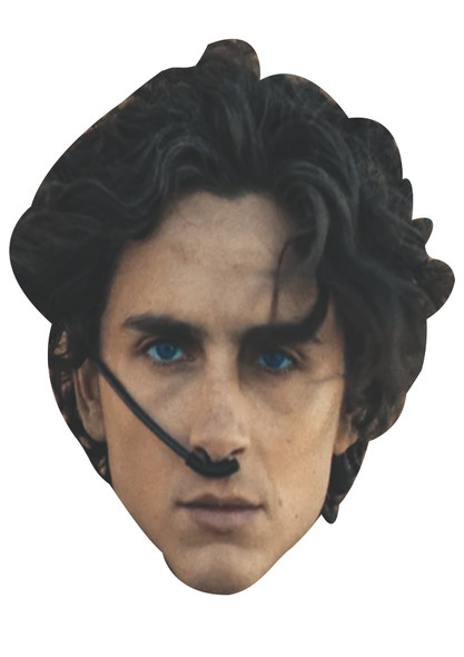 Timothy Chalamet - Paul Atreides - Dune Celebrity Party Face Mask | Fancy Dress Cardboard Mask