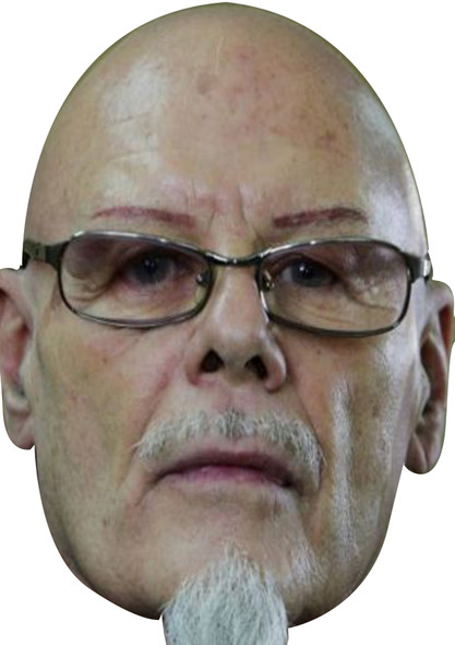 Gary Glitter Celebrity Party Face Mask | Fancy Dress