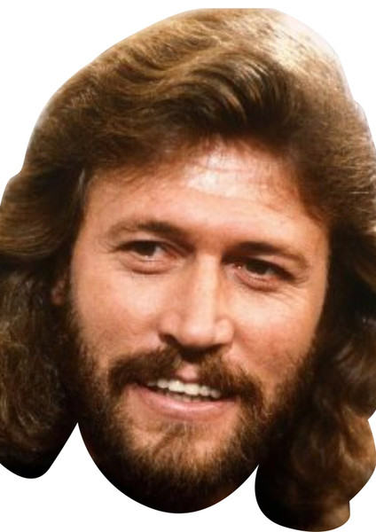 Bee Gees -Barry Gibb Celebrity Party Face Mask | Fancy Dress