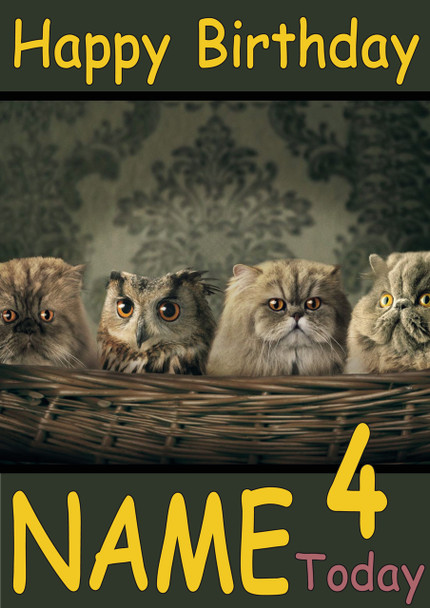 Owl In Cat Basket Personalised Birthday Card