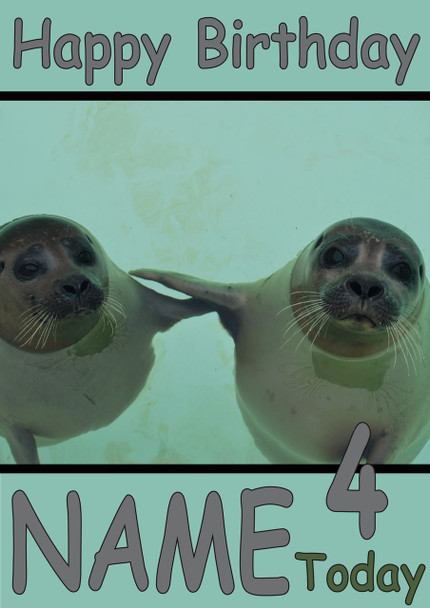 Two Seals Personalised Birthday Card