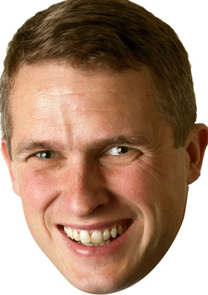 Gavin Williamson Uk Politician Face Mask