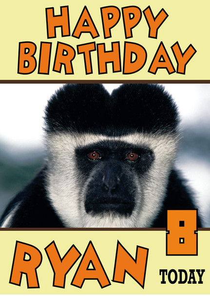 Funny Monkey Black And White Birthday Card