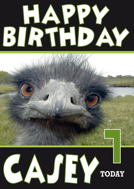 Emu Funny New Design 1 Birthday Card