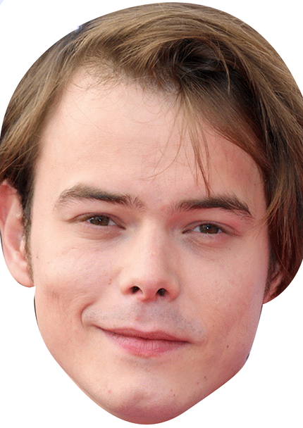 Charlie heaton tv movie star celebrity party face fancy dress