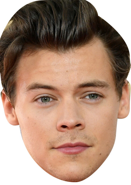 Harry Styles Celebrity Music Star Face Mask