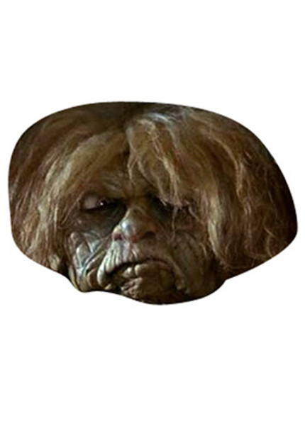 Junk Lady Labyrinth Celebrity Face Mask