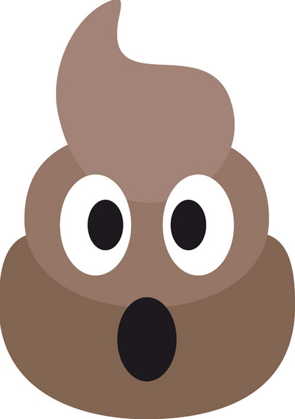 Poo Emoji Kids Celebrity Face Mask