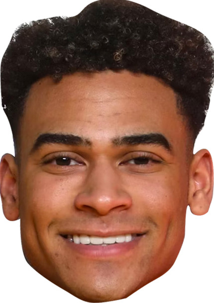 Jordan Hames  Love Island Fancy Dress Cardboard Celebrity Face Mask