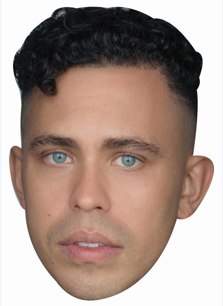 Aaron Hefferman - Brassic Celebrity party face fancy dress Cardboard mask
