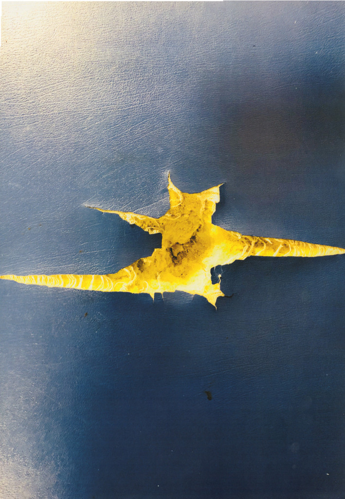 Paper Print Series  • Torn Photograph