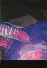 Paper Print Series  • Fish Triptych #2
