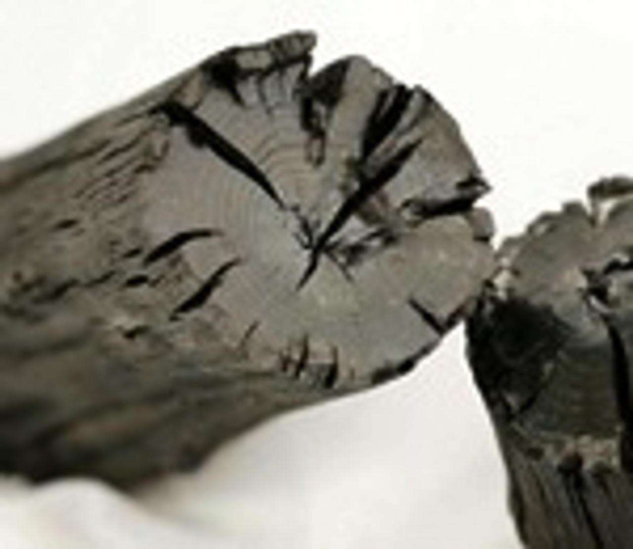 Charcoal