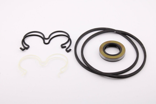 Pump Seal Kit P197-S