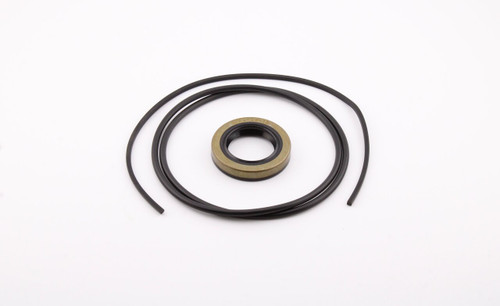 Pump Seal Kit P2100-S