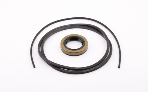 Pump Seal Kit P3000-S