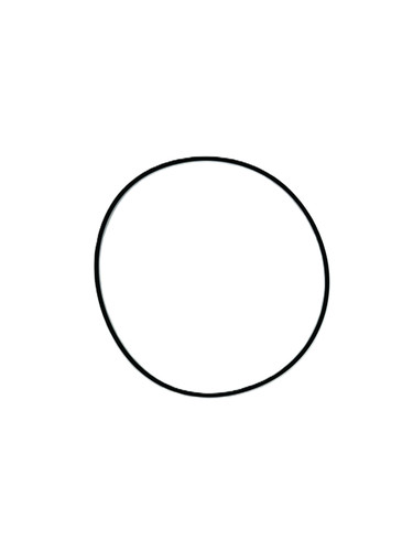 R913064588 R-RING